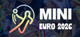 MINI-EM
