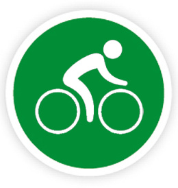 Icon Radsport