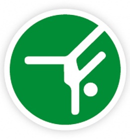 Icon Turnen Icon Turnen