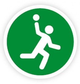 icon Handball icon Handball