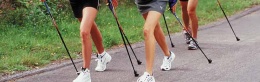 nordic_walking