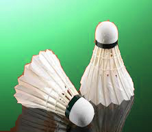 Federball