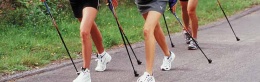 nordic_walking nordic_walking