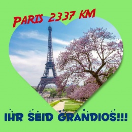 Paris-Ziel