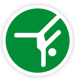 Icon Turnen