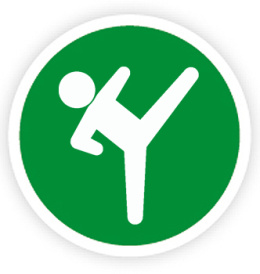 icon Taekwondo icon Taekwondo